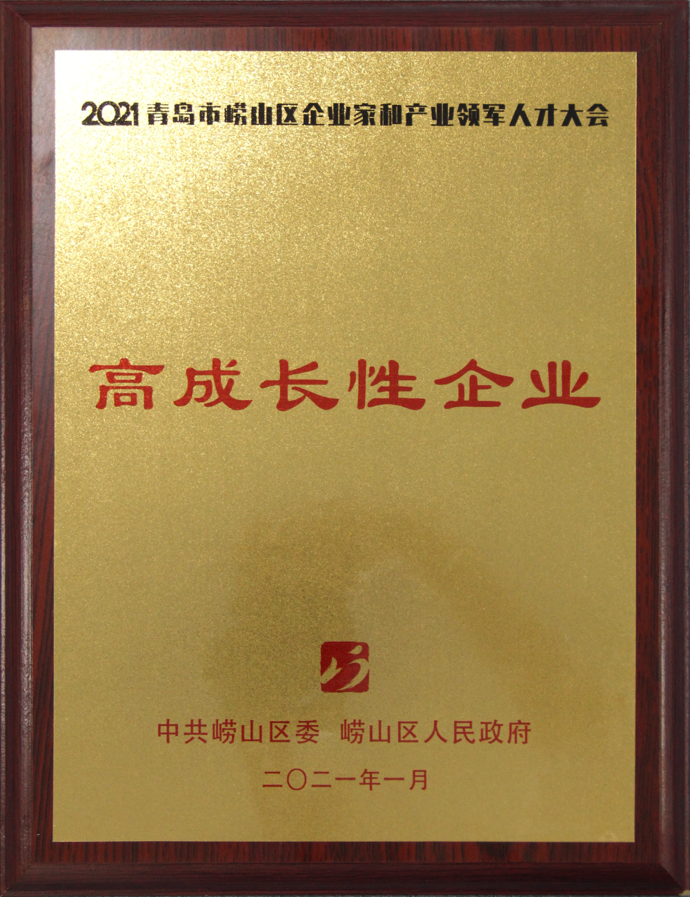 高成(chéng)長(cháng)性企業